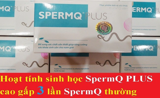 SpermQ Plus có tốt không? hay lừa đảo như lời đồn?